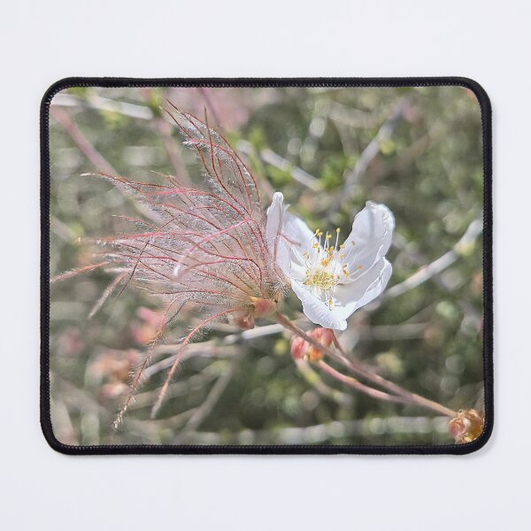 Item preview, Apache Plume designed and sold by Betsy Phillips.