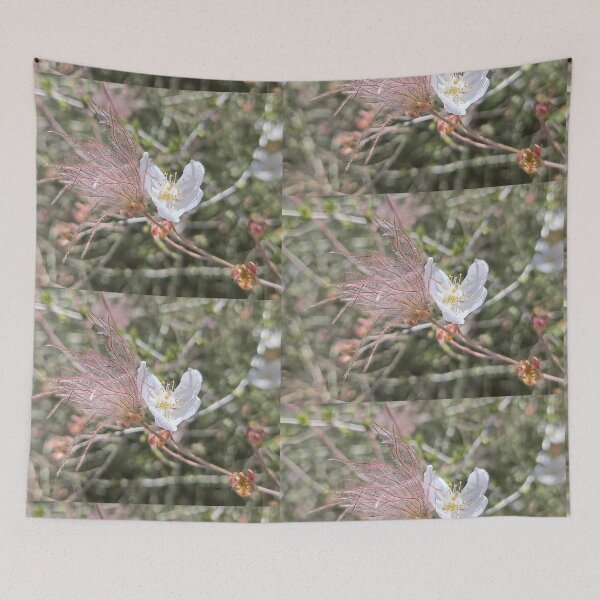 Item preview, Apache Plume designed and sold by Betsy Phillips.