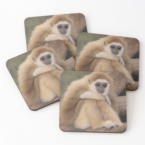 Item preview, Cute gibbon  designed and sold by monkey zone.