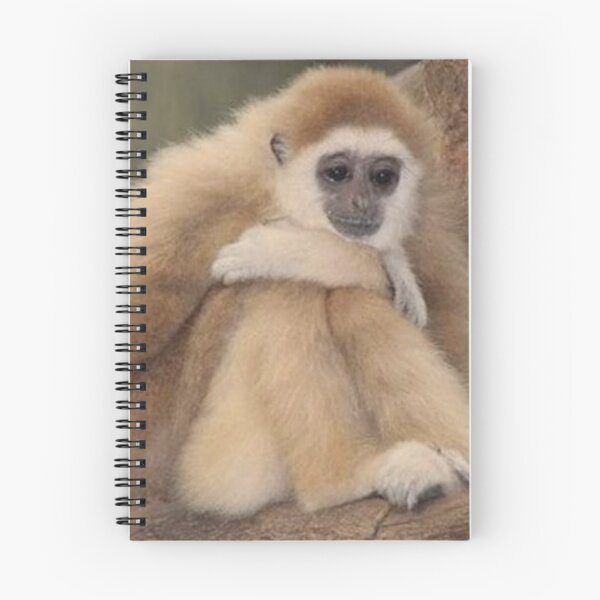 Item preview, Cute gibbon  designed and sold by monkey zone.