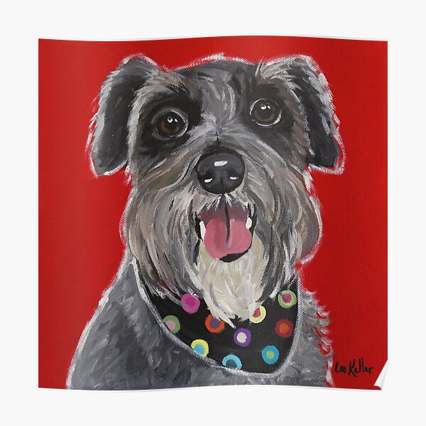 Cute colorful Schnauzer art Poster