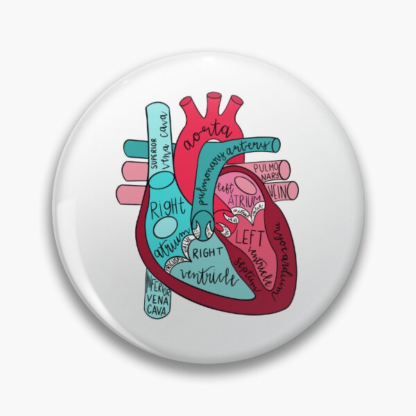 Item preview, Labeled Anatomical Heart  designed and sold by Amariafagundes.