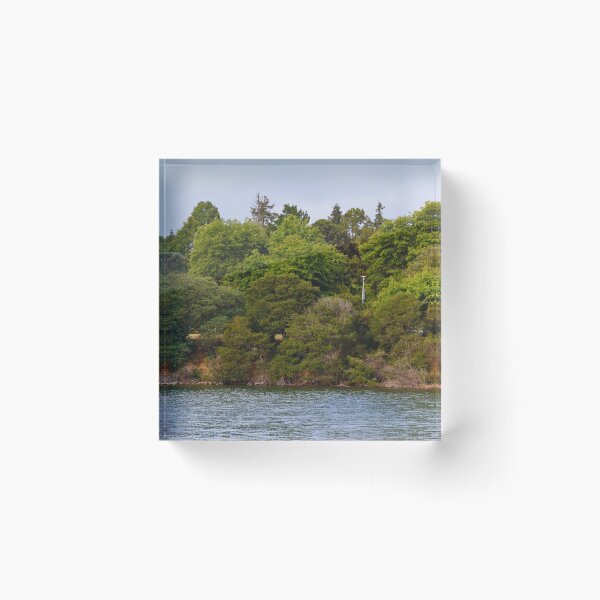 Item preview, Lush Riverbank with Dense Foliage designed and sold by Phakade's Photos.