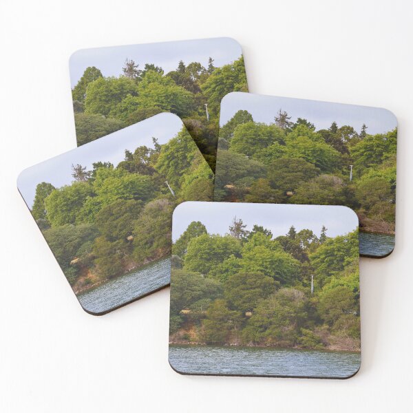 Item preview, Lush Riverbank with Dense Foliage designed and sold by Phakade's Photos.