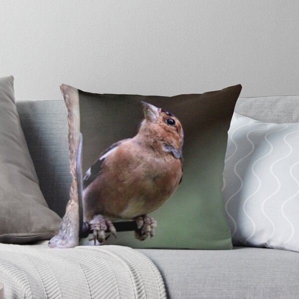Item preview, chaffinch designed and sold by KathleenDawson.