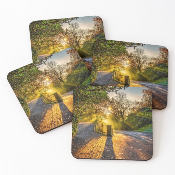 Item preview, Morning Sunrays at Corporation Park, Blackburn, Lancashire designed and sold by Shafiq Khan.