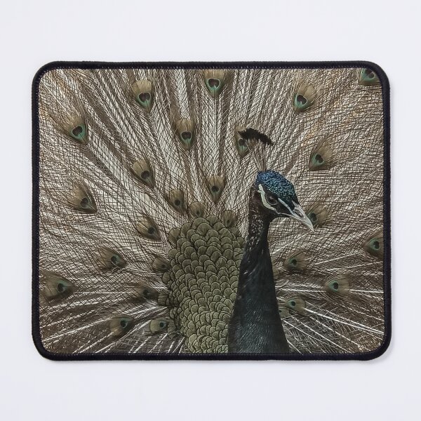 Item preview, Majestic Peacock designed and sold by DiscoverySB.