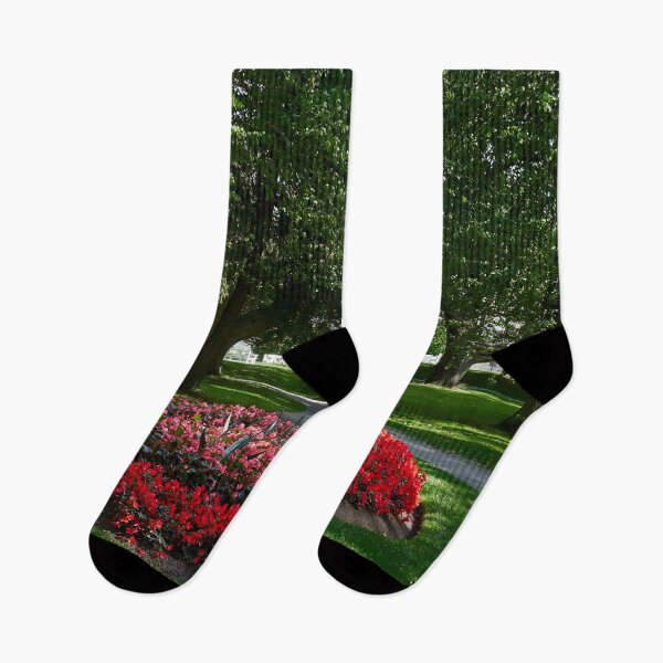 Item preview, Hatanpaa Arboretum 2026 number 2 designed and sold by Jouko Lehto Photography.