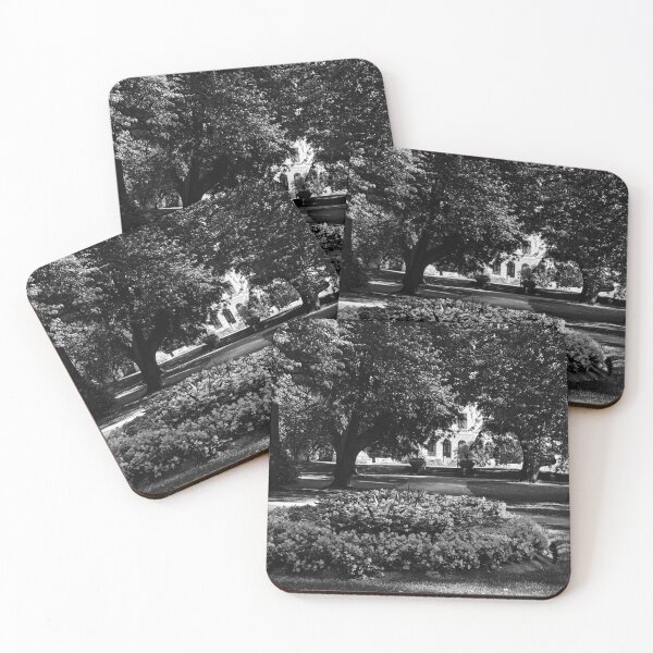 Item preview, Hatanpaa Arboretum 2026 number 2 bw  designed and sold by Jouko Lehto Photography.