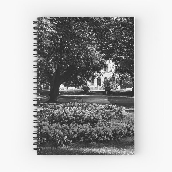 Item preview, Hatanpaa Arboretum 2026 number 2 bw  designed and sold by Jouko Lehto Photography.