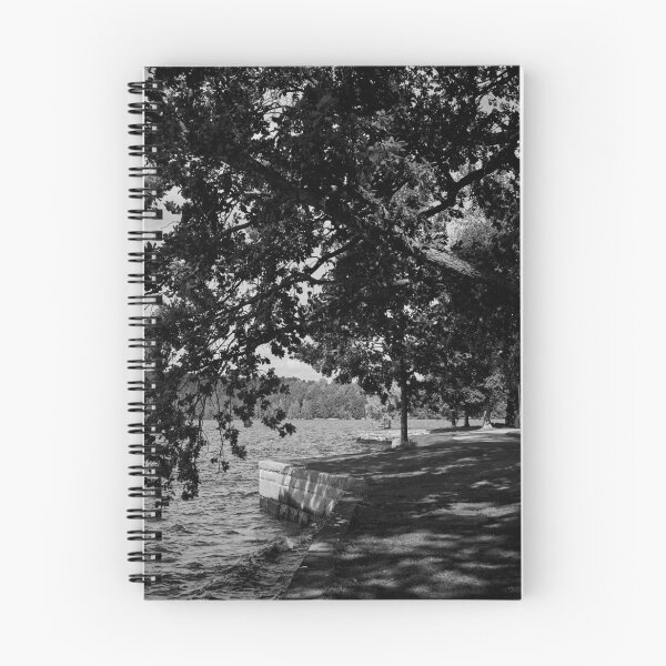 Item preview, Hatanpaa Arboretum 2025 number 3 bw bw designed and sold by Jouko Lehto Photography.