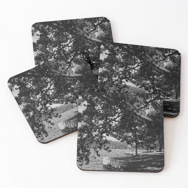 Item preview, Hatanpaa Arboretum 2025 number 3 bw bw designed and sold by Jouko Lehto Photography.