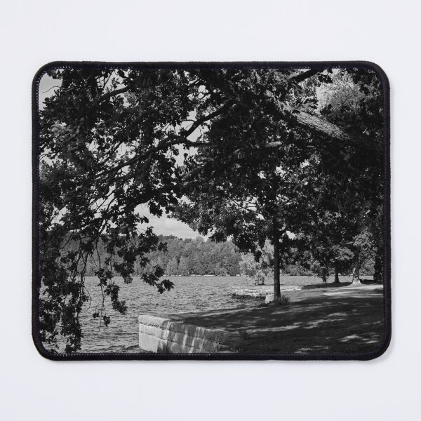 Item preview, Hatanpaa Arboretum 2025 number 3 bw bw designed and sold by Jouko Lehto Photography.