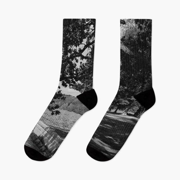 Item preview, Hatanpaa Arboretum 2025 number 3 bw bw designed and sold by Jouko Lehto Photography.