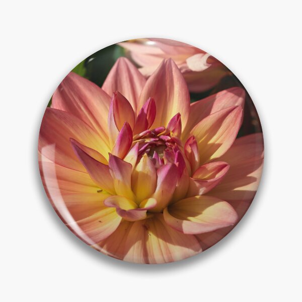 Item preview, Colors of a dahlia designed and sold by Jouko Lehto Photography.