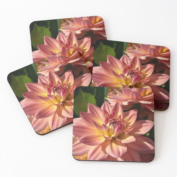 Item preview, Colors of a dahlia designed and sold by Jouko Lehto Photography.
