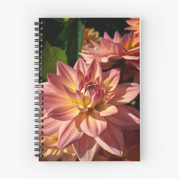 Item preview, Colors of a dahlia designed and sold by Jouko Lehto Photography.