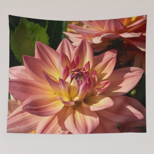 Item preview, Colors of a dahlia designed and sold by Jouko Lehto Photography.