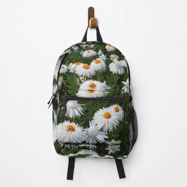 Item preview, White Everlasting Daisy designed and sold by Jouko Lehto Photography.