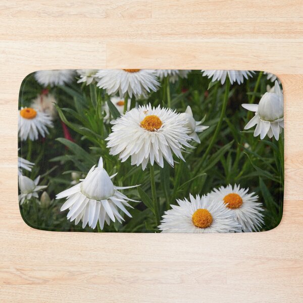 Item preview, White Everlasting Daisy designed and sold by Jouko Lehto Photography.