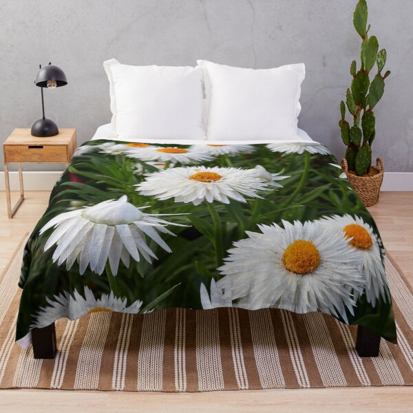 Item preview, White Everlasting Daisy designed and sold by Jouko Lehto Photography.