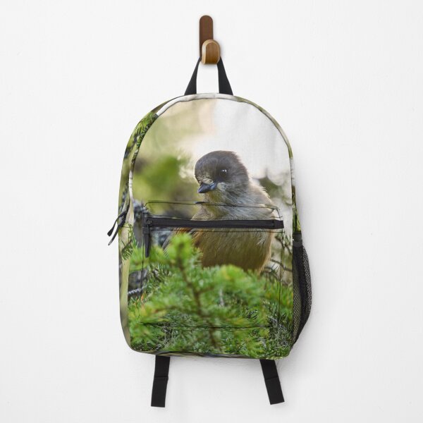 Item preview, Curiosity. Siberian jay designed and sold by Jouko Lehto Photography.