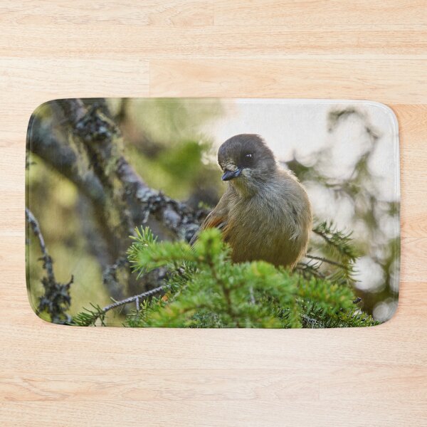 Item preview, Curiosity. Siberian jay designed and sold by Jouko Lehto Photography.