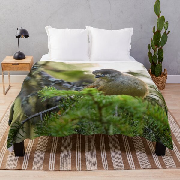 Item preview, Curiosity. Siberian jay designed and sold by Jouko Lehto Photography.