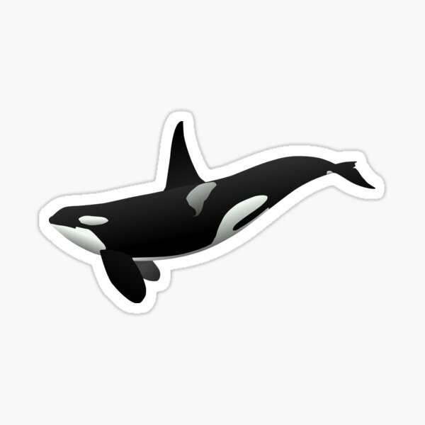Item preview, Orca Whale designed and sold by Reethes.