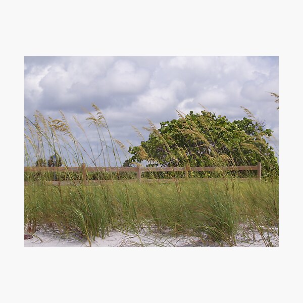 Item preview, Honeymoon Island designed and sold by Ilene Clayton.