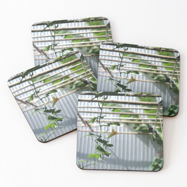 Item preview, Dappled Wendy's Wendys Wendy s aLight Sanctuary designed and sold by Sanelma L  Vanhala.