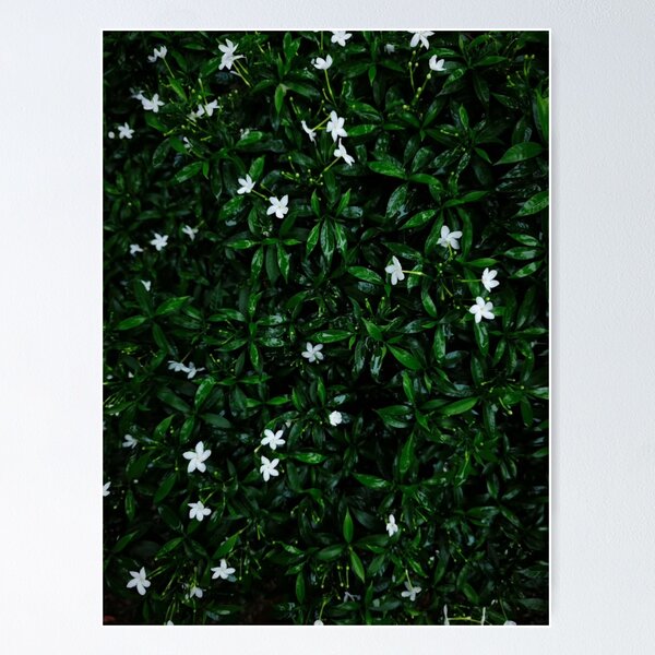 Item preview, Blooming Courtney Barnett aTwilight Glow designed and sold by Sanelma L  Vanhala.