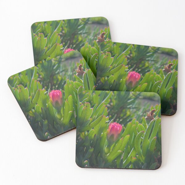 Item preview, Pink among so much green designed and sold by LoooPSLuPo.