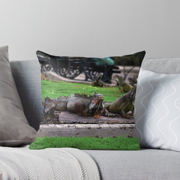 Item preview, Trio in Iguana Park, Guayaquil, Ecuador designed and sold by Catherine Sherman.