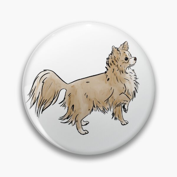 Item preview, Longhaired Chihuahua Illustration designed and sold by Spinyflowerart.