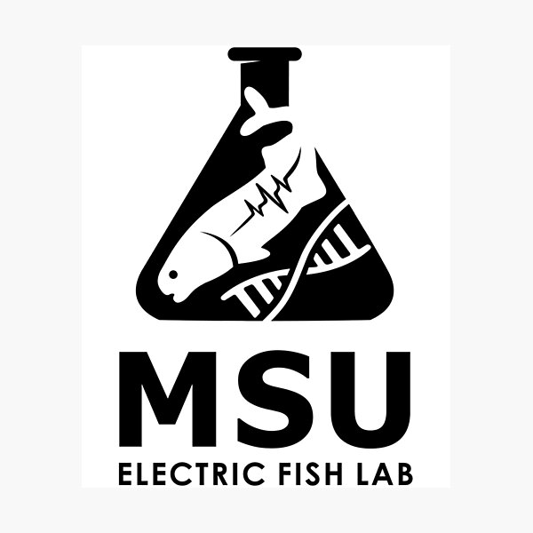 Item preview, Logotipo de Msu Efishlab Bw designed and sold by bubesicatsh.