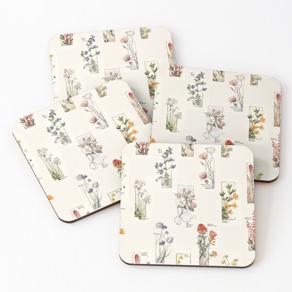 Item preview, Wildflowers of California – Botanical – by Elisabeth Moore Hallowell 1905 // Public Domain designed and sold by Vernissage-dart.