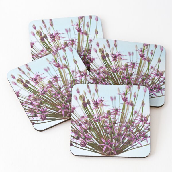 Item preview, Allium & # 39; Spider & # 39; Cebolla ornamental designed and sold by Chris Burrows.