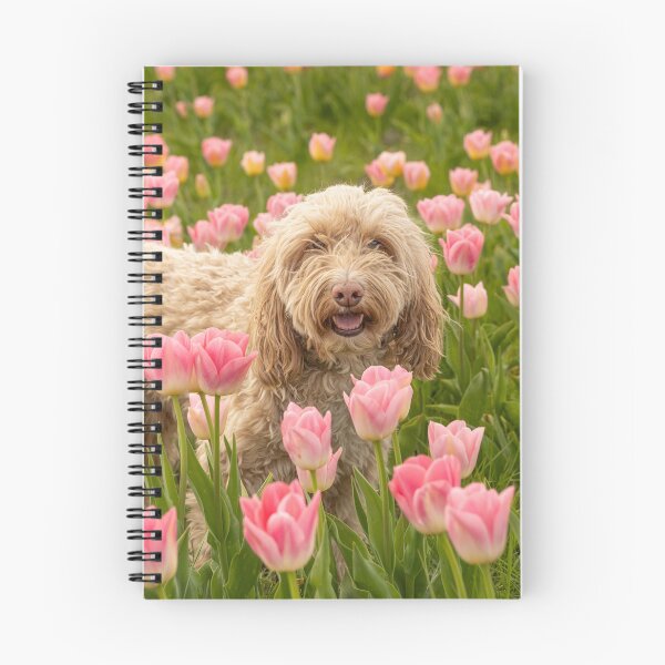 Item preview, Blonde Cockapoo dog in pink tulips field. designed and sold by bailey-cooper.