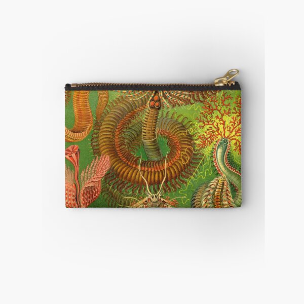 Item preview, Chaetopoda - Ernst Haeckel designed and sold by science4all.