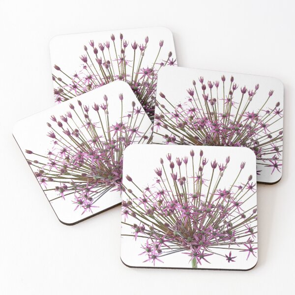 Item preview, Allium  'Spider'  Ornamental onion  designed and sold by Chris Burrows.