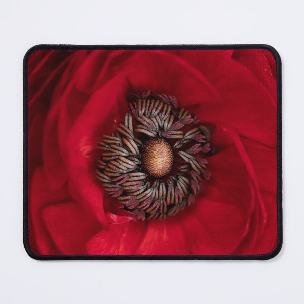 Item preview, Ranunculus designed and sold by linda-kasian art photography.