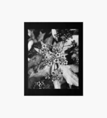 Tiny Flowers Art Board