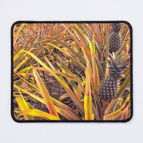 Item preview, Antigua black Pineapple designed and sold by DriftandBloom.