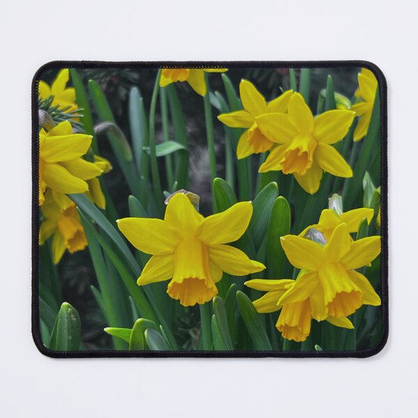 Item preview, Gelbe Blumen im Garten – Entspannte Natur“ : „Yellow Flowers in the Garden – Relaxing Nature“ designed and sold by Yaroplanner.