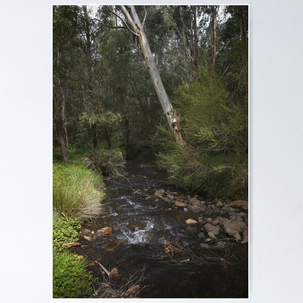 Item preview, Creek in flow designed and sold by athexphoto.