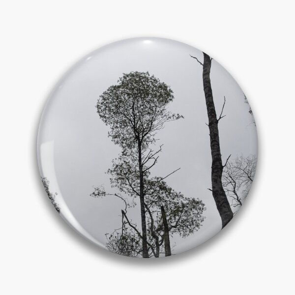 Item preview, Tree and fern in silhouette designed and sold by athexphoto.