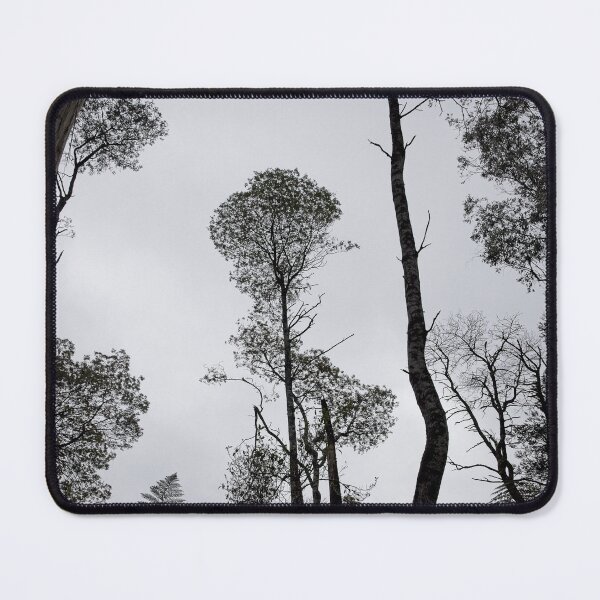 Item preview, Tree and fern in silhouette designed and sold by athexphoto.