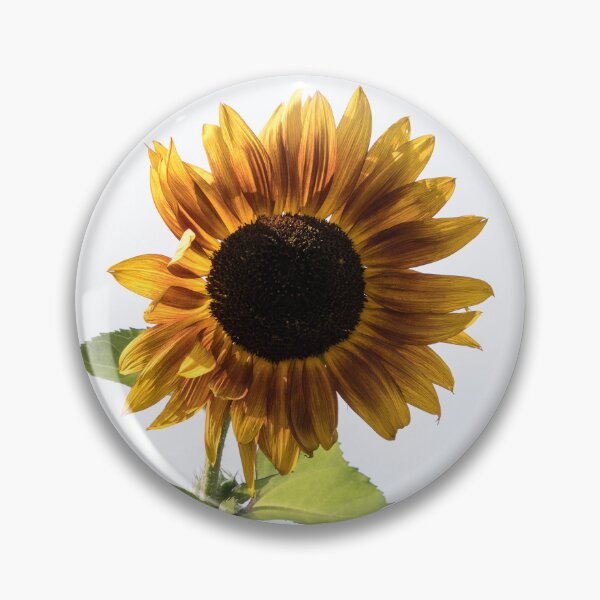 Item preview, Radiant Sunflower Against Pale Milky Sky designed and sold by Georgia Mizuleva.