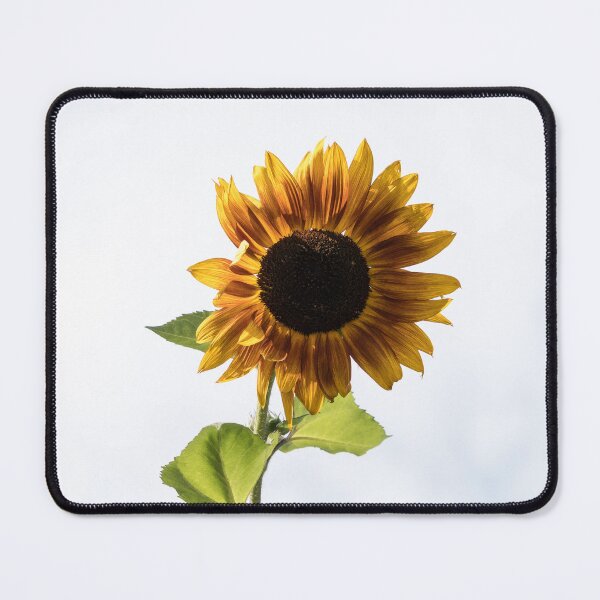Item preview, Radiant Sunflower Against Pale Milky Sky designed and sold by Georgia Mizuleva.